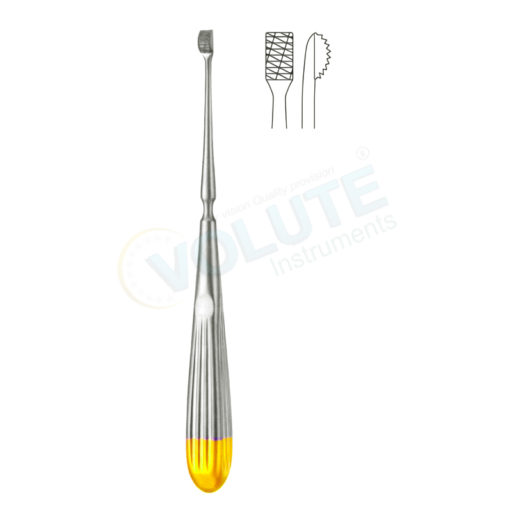 LEWIS T.C. NASAL RASP